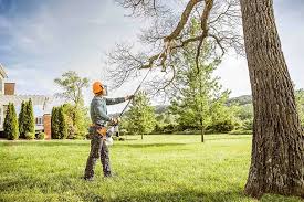 Best Utility Line Clearance  in Brushy Creek, TX